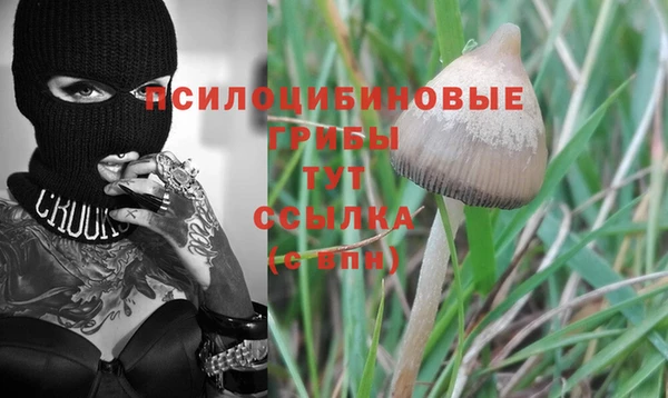 синтетический гашиш Нязепетровск