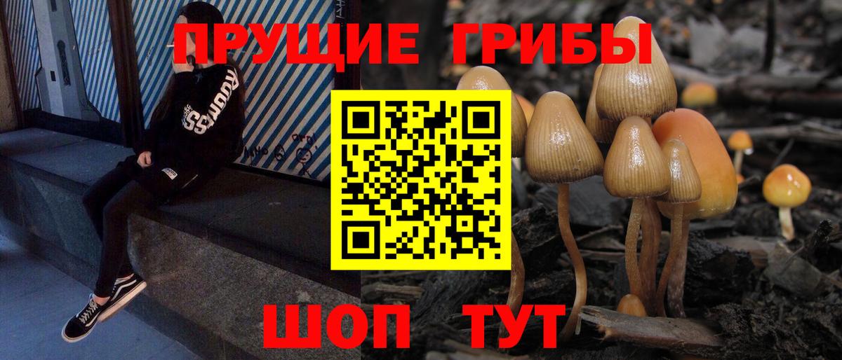 Псилоцибиновые грибы мицелий Кореновск
